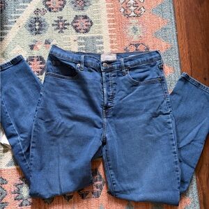 Everlane Women's Straight Leg Jeans in Medium Blue